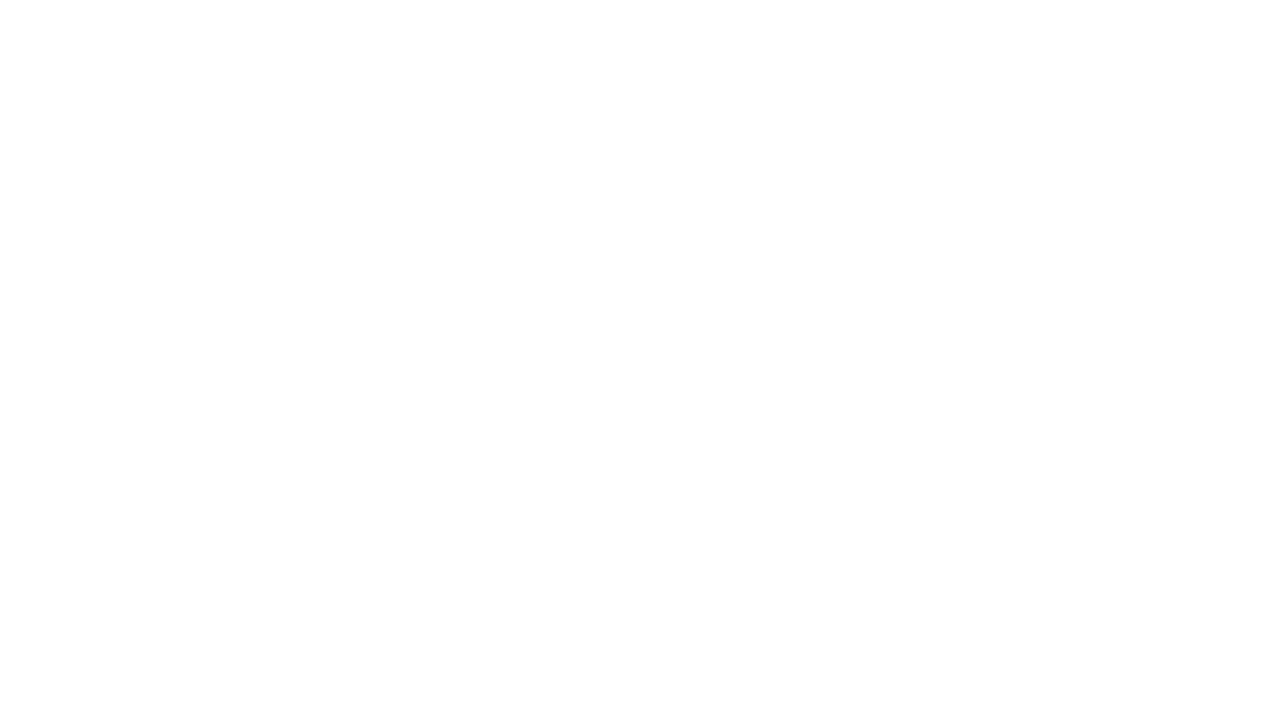 DSQ logo